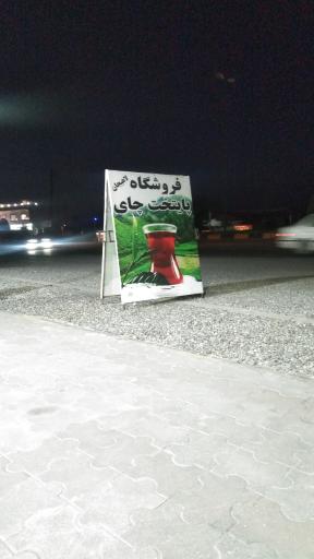 عکس پایتخت چای لاهیجان 