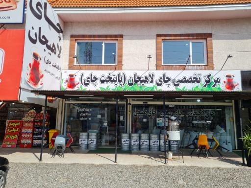 عکس پایتخت چای لاهیجان 