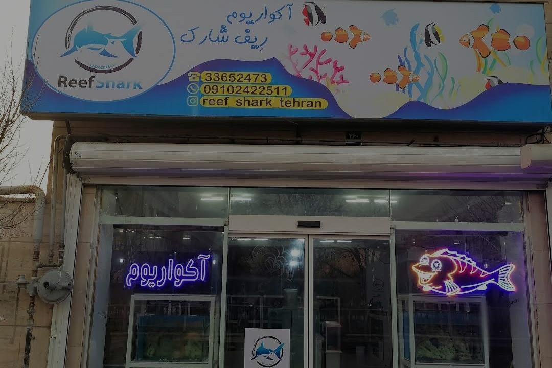 عکس فروشگاه آکواریوم ریف شارک