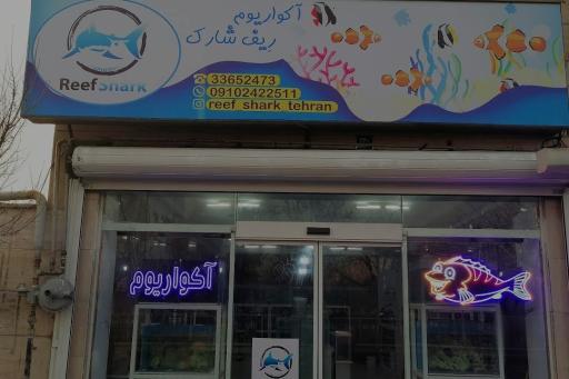 عکس فروشگاه آکواریوم ریف شارک