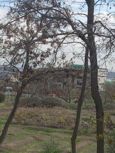 عکس باغ موزه دفاع مقدس البرز