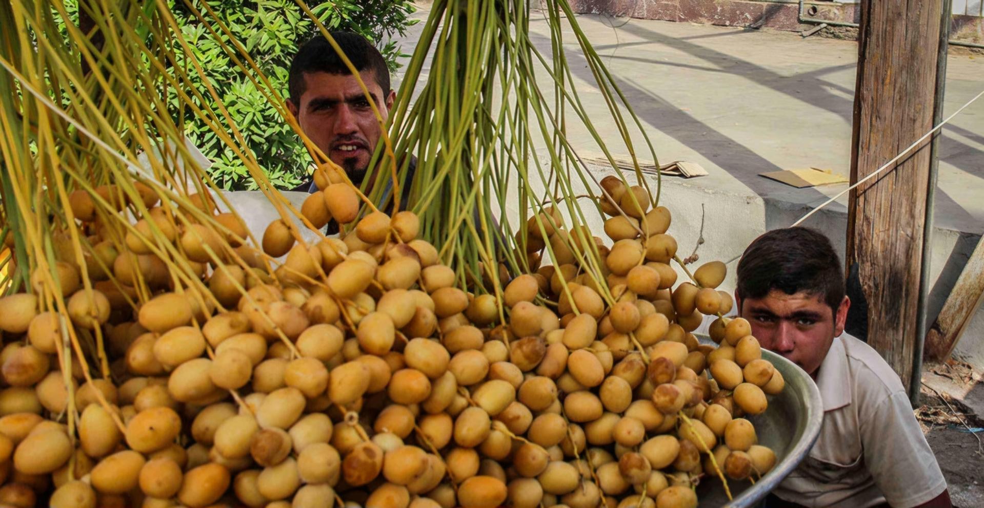 عکس بازار عامری