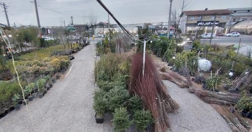 عکس نهالستان و گلستان باغ سبز