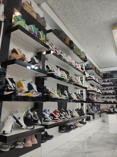 عکس فروشگاه پانیکا