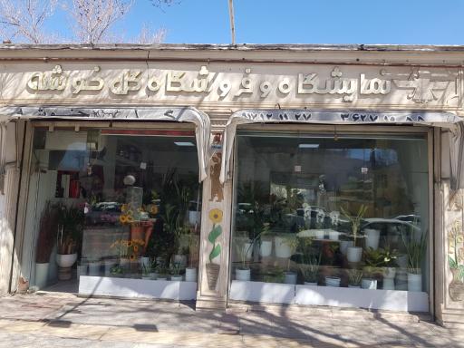 عکس گلفروشی گل خوشه