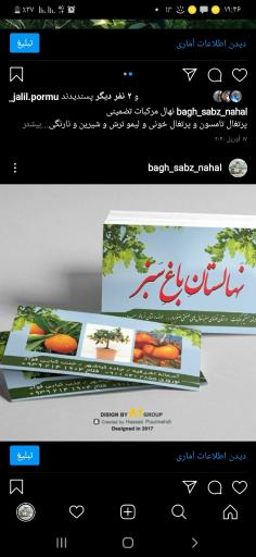 عکس نهالستان بزرگ باغ سبز