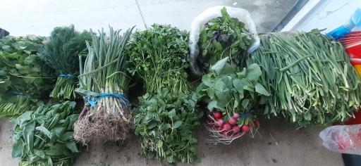 محصولات خانگی و سبزی مارکت البرزی