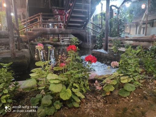 عکس تالار و رستوران جزیره