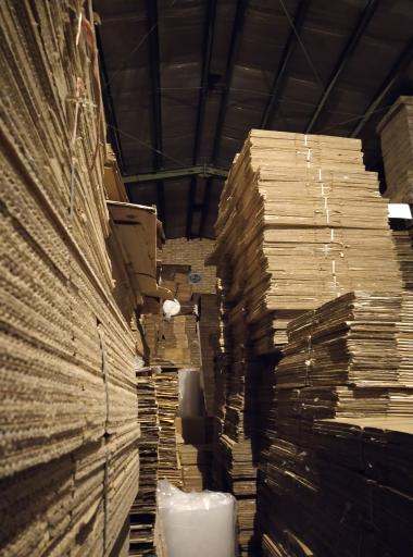 عکس کارتن فروشی مولوی (رادفر)