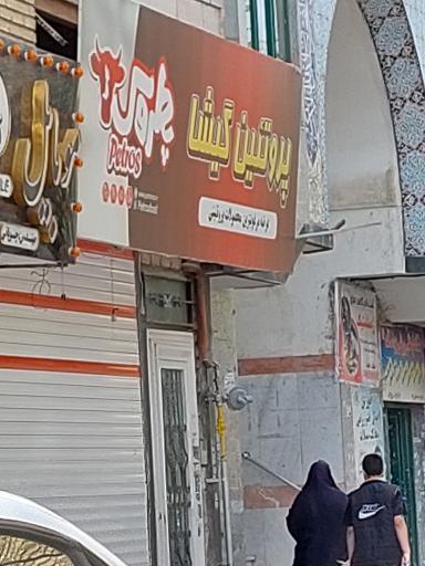 عکس پروتئین گیشا