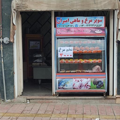 مرغ و ماهی امیران 