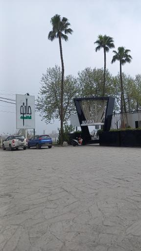 عکس کافه ماتو