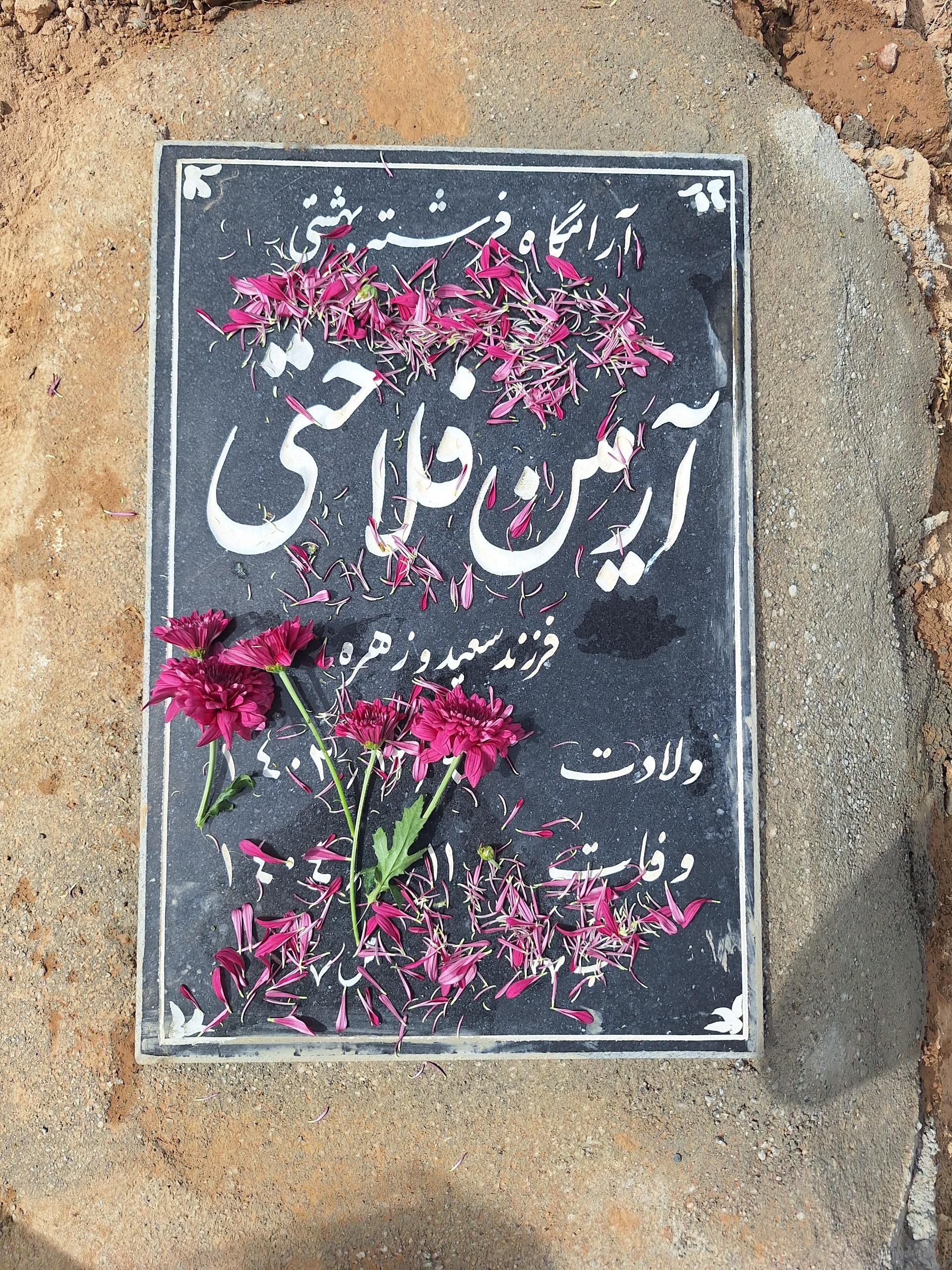 عکس مزار آرمین فلاحتی