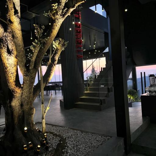 عکس کافه رستوران فرلا