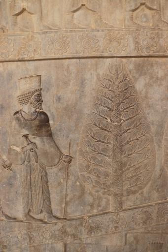 عکس تخت جمشید