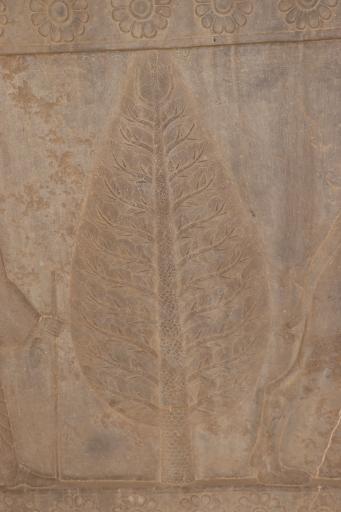 عکس تخت جمشید