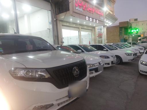 اتومبیل ایرانیان 