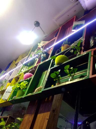 عکس بمب صجاد