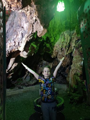 عکس درخت ۱۵۰۰ ساله برغان