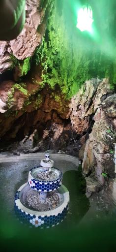 عکس درخت ۱۵۰۰ ساله برغان