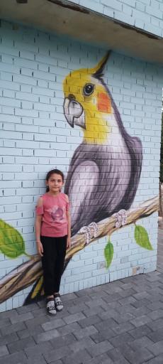 عکس پارک قله