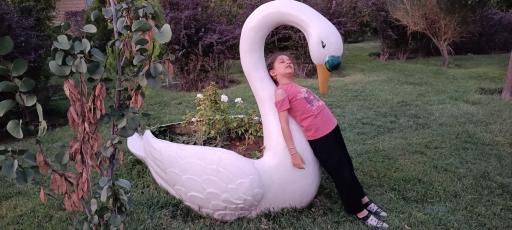 عکس پارک قله