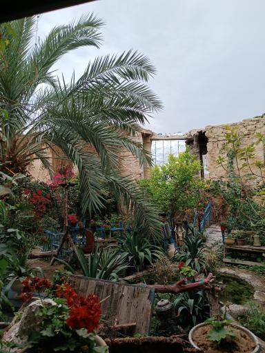 عکس کافه گلها