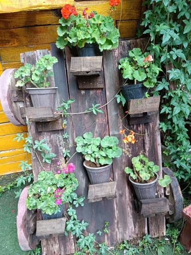 عکس کافه گلها