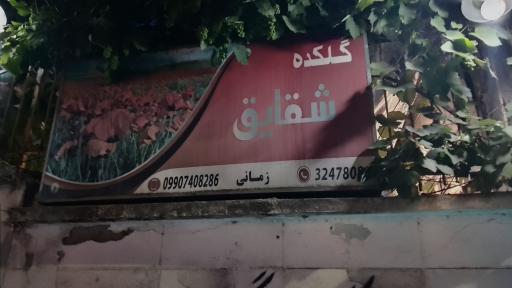 عکس گلکده شقایق