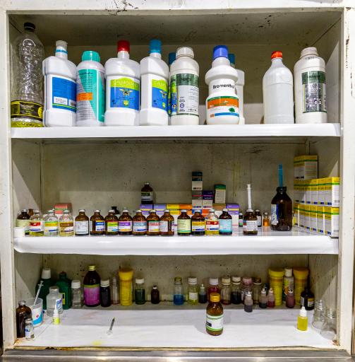 عکس کلینیک دامپزشکی دکتر محمود رفعت بهاری