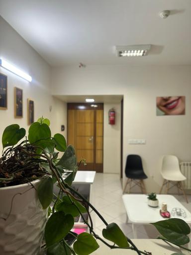 عکس دندانپزشکی دکتر ماجده شاهزیدی