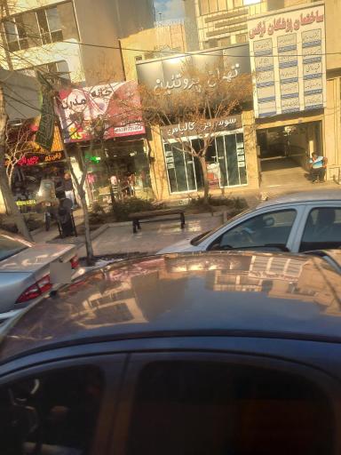 عکس دکتر سعیده عارفپور