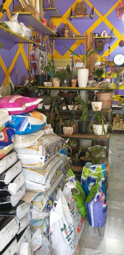 عکس گل فروشی مینا گل