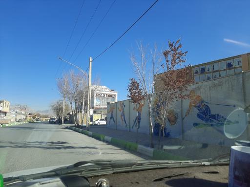 عکس لبنیات ترانه 