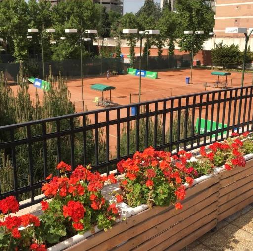 عکس باشگاه تنیس استقلال