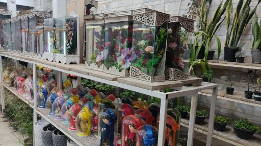 عکس خانه گل