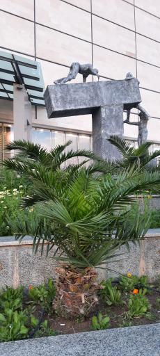 عکس مجتمع تجاری تفریحی پارک سنتر