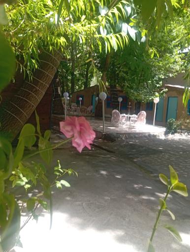 عکس باغ رستوران ایرونی