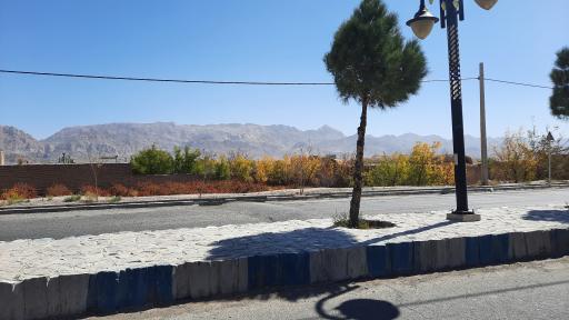 عکس طبس مسینا