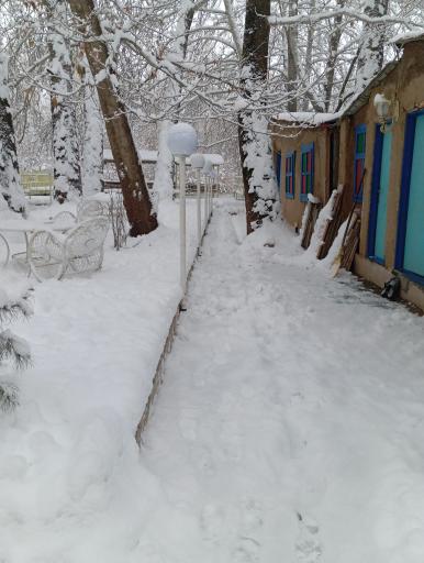 عکس باغ رستوران ایرونی