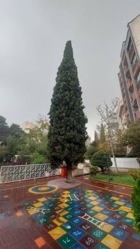 عکس پیش دبستان و دبستان دخترانه باغ مهر