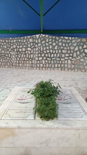 عکس مجموعه فرهنگی ورزشی جماران