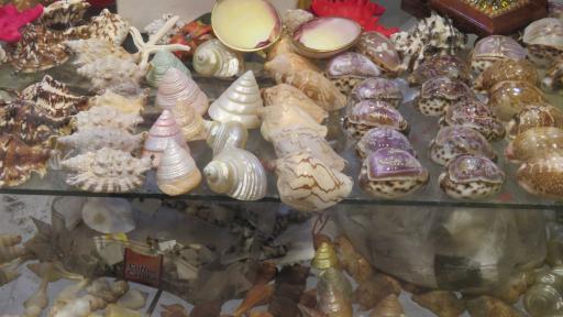 عکس فروشگاه سوغات جنوب