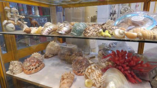 عکس فروشگاه سوغات جنوب