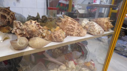 عکس فروشگاه سوغات جنوب