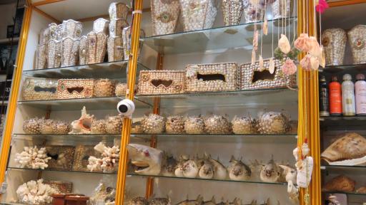 عکس فروشگاه سوغات جنوب