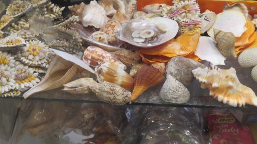 عکس فروشگاه سوغات جنوب