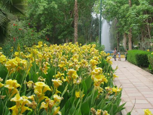 عکس پارک مرکزی