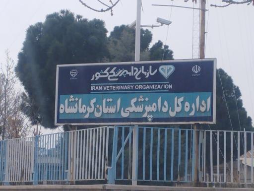 عکس اداره کل دامپزشکی استان کرمانشاه