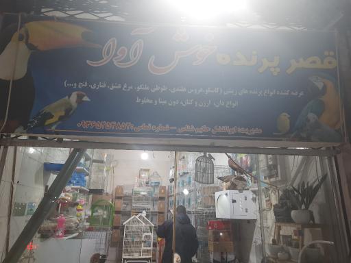 عکس قصر پرنده خوش آوا